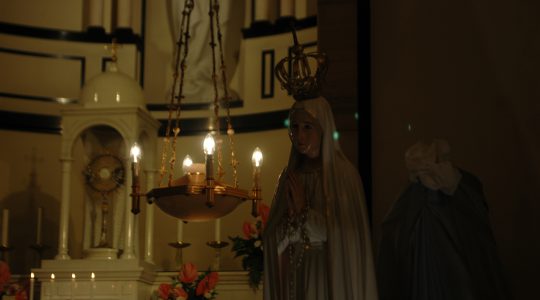 Foto e video della Madonna di Fatima