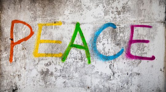 L'ultimo tentativo dell'amore di non arrendersi